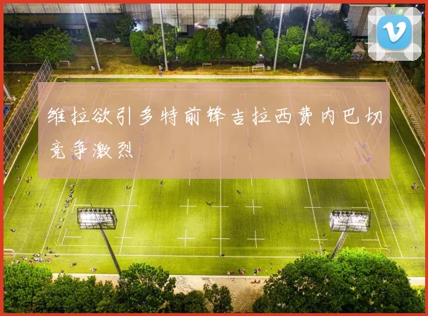 维拉欲引多特前锋吉拉西费内巴切竞争激烈